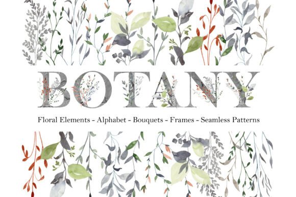 Download Watercolor Botany Collection. - Collection Collection