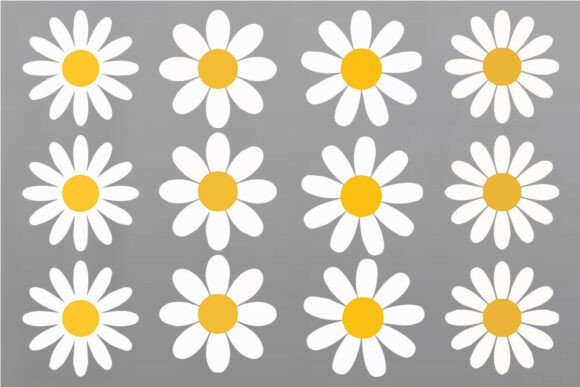 Download Daisy Flower SVG Bundle, Color Daisy SVG - Daisy Collection