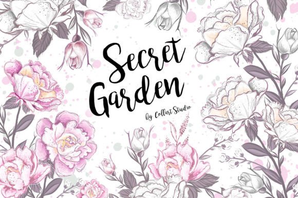 Download Floral Set, Flowers Illustrations, Roses - Illustration Collection