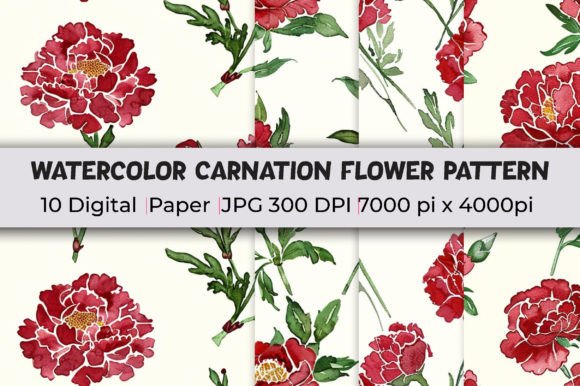 Download Carnation Flower Patterns Watercolor - Flower patterns Collection