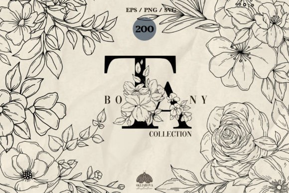 Download Botany Line Art Collection - Collection Collection