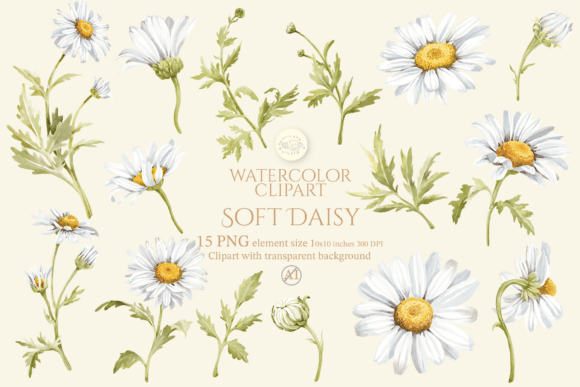 Download Soft Daisy Flower Watercolor Clipart Set - Daisy Collection