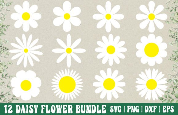 Download Daisy Flower SVG Bundle - Daisy PNG - Daisy Collection