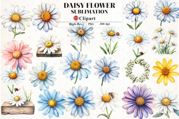 Download Daisy Flower Watercolor Cliparts - Daisy Collection