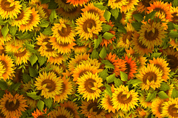 Download Sunflower Pattern High Quality - High quality Collection