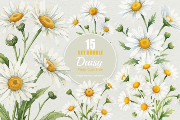 Download 15 Bundle Watercolor Daisy Flower White - Daisy Collection