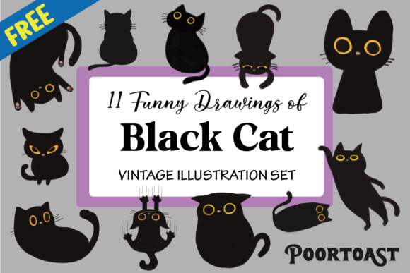Download Black Cat Collection - Collection Collection